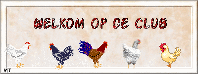 Kippen Welkom op de…